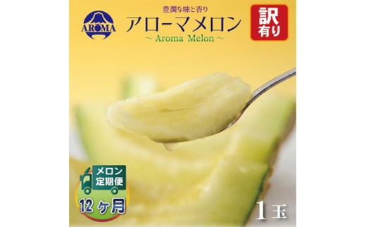 ＜毎月定期便＞＜訳あり＞アローマメロン 1玉 全12回【4013172】