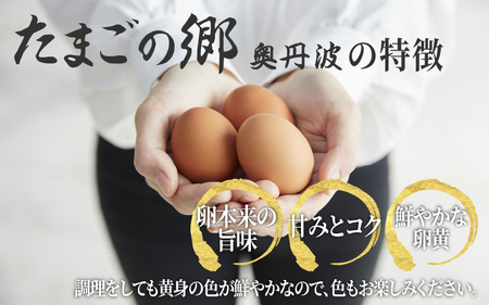 【定期便12ヶ月】たまごの郷奥丹波 10個×3パック