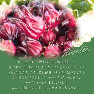 ふるさと納税 宇土市 熊本ハーブ園レモングラス　フレッシュローゼル(約2kg) |  | 01