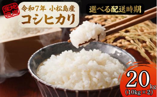 【2026年3月発送】米 コシヒカリ 20kg（10kg×2） 小松島市 令和7年産 精米 白米 お米 こしひかり 人気 ご飯 ごはん 国産米 徳島県