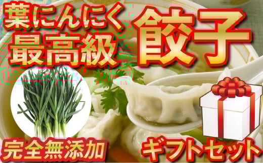 化粧箱入り 有機 葉ニンニク と 四万十豚で作った 最高級 餃子 ギフト セット 高知県 須崎市 EA0821