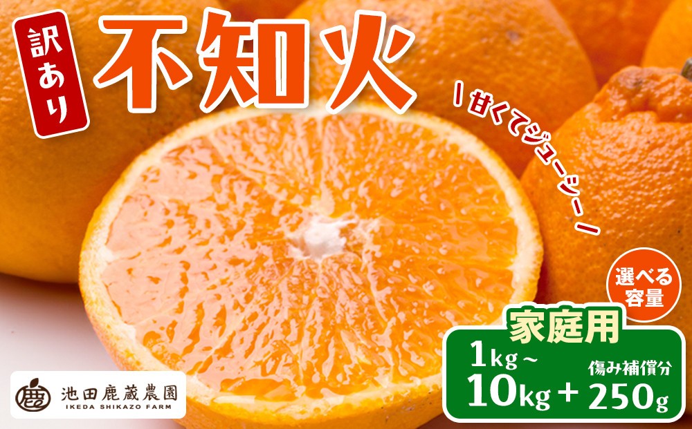 
                  【選べる容量】先行予約 家庭用 不知火 1～10kg+250g（傷み補償分）［デコポンと同品種・人気の春みかん］［わけあり・訳あり］［IKE121］
                