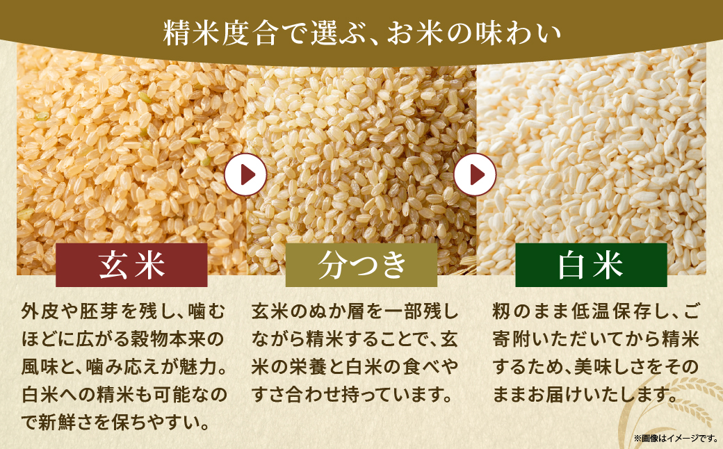 天日干しが引き出す お米の旨味 日向江戸米（にこまる）【玄米】計10kg 国産米 ブランド米 農薬不使用 化学肥料不使用 無農薬 ごはん ご飯 おにぎり お弁当 冷めても美味しい もっちり食感 和食 