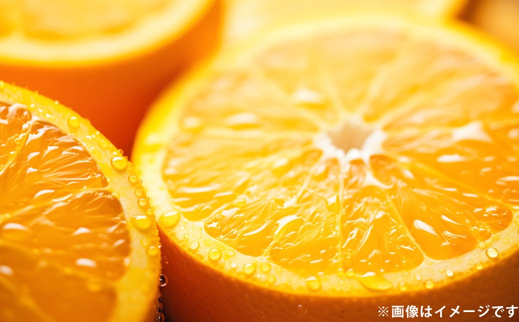 清見 オレンジ 約3kg  柑橘 みかん ミカン 蜜柑 果物 フルーツ きよみ デザート【2026年3月下旬〜4月上旬発送予定】