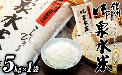 【令和8年産米】 信州たてしな産 御泉水米 こしひかり 5kg (5kg×1袋 )