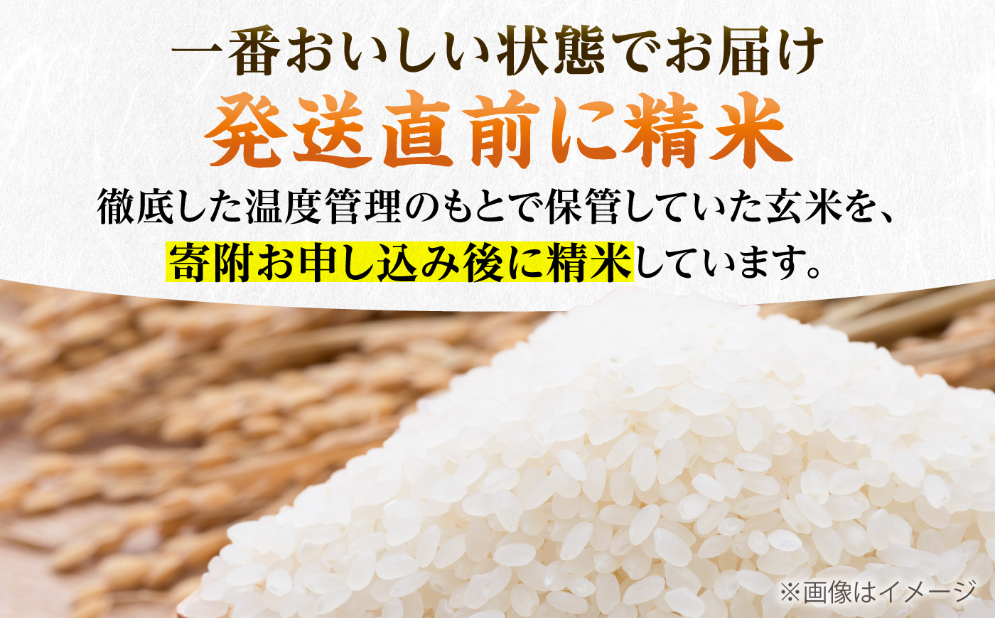 【新米先行予約】【全6回定期便】福岡県産米 夢つくし 20kg (10kg×2袋) 【2024年9月以降順次発送】 《豊前市》【湯越農園】米 精米 白米 [VBC015]