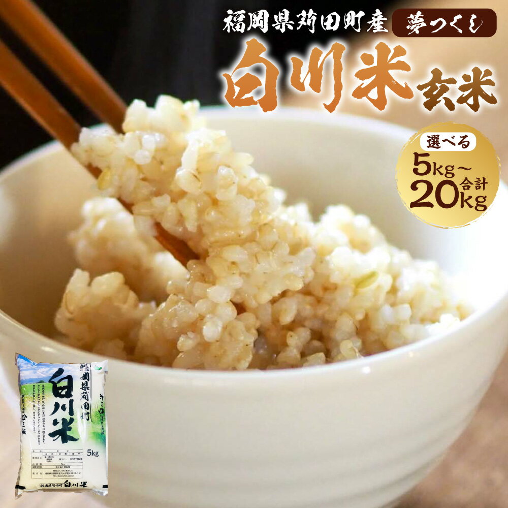 【ふるさと納税】【新米先行予約】白川米 ( 夢つくし ) 5kg 10kg 15kg 20kg 玄米 お米 こめ 米 ご飯 ごはん 常温 福岡県 苅田町 送料無料【2025年10月下旬から順次発送予定】