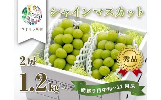 【産地直送】上山産・絶品シャインマスカット　１.２ｋｇ以上♪　0140-2505