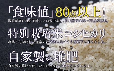 3ヶ月連続 南条米コシヒカリ 真空パック精米5kg×2袋
