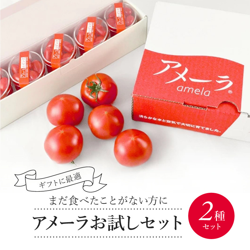 
                  アメーラ トマト ルビンズ ５Pセット 高糖度 7.5以上 化粧箱入り 産地 直送 新鮮 旬の 野菜 高級 フルーツトマト 甘い 静岡県 藤枝市 ふるさと人気 
                