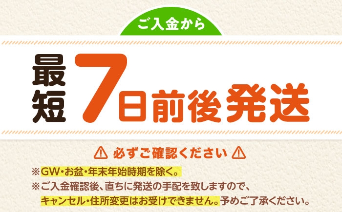 令和7年産 新米 キヌヒカリ 米 お米 白米 コメ おこめ 10kg 5kg きぬひかり 人気 おすすめ 産地直送 国産 新鮮