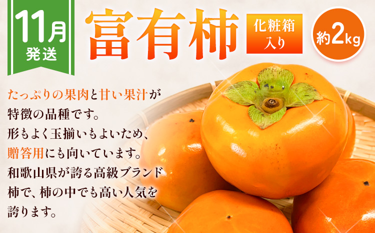 【先行予約】【発送月固定定期便】紀州和歌山産 旬のフルーツ便（いちご・桃・富有柿）【全３回】魚鶴商店《2027年2月上旬-11月末頃出荷》 和歌山県 日高川町 まりひめいちご 紀州和歌山産の桃 富有柿