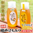 【ふるさと納税】新屋養蜂場定番はちみつ2本セット(シナはちみつ500g、百花はちみつ500g) はちみつ 蜂蜜 ハチミツ ハニー 純粋はちみつ 国産 シナはちみつ 百花はちみつ【新屋養蜂場】