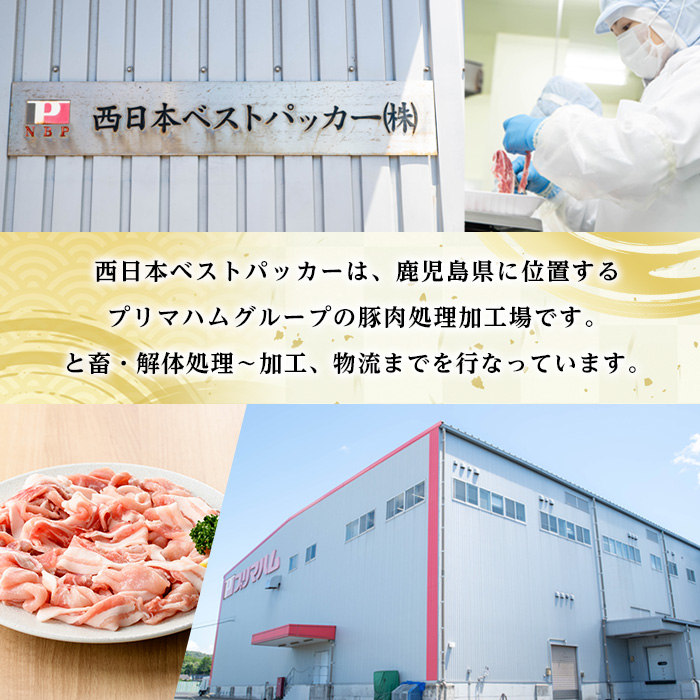 鹿児島県産豚こまぎれ (330g×8P・計2.6kg超) 豚 豚肉 肉 鹿児島 白豚 切り落とし 小間切れ こま切れ こまぎれ 炒め物 カレー 詰合せ 詰め合わせ 小分け 冷凍【西日本ベストパッカー】