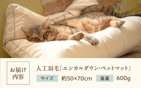 丸洗いOK！ホコリの出にくい『ペットマット』