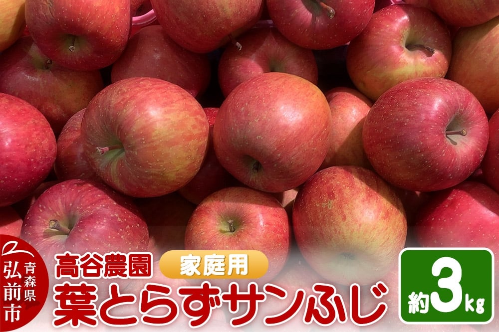 
            【25年11月～発送】りんご 高谷農園【家庭用】葉とらずサンふじ 約3kg【レビューキャンペーン】
          