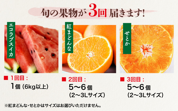 【全3回定期便】 大洲の旬果定期便 愛媛県大洲市/株式会社フジ・アグリフーズ スイカ 紅まどんな せとか フルーツ 定期便 [AGBA025]