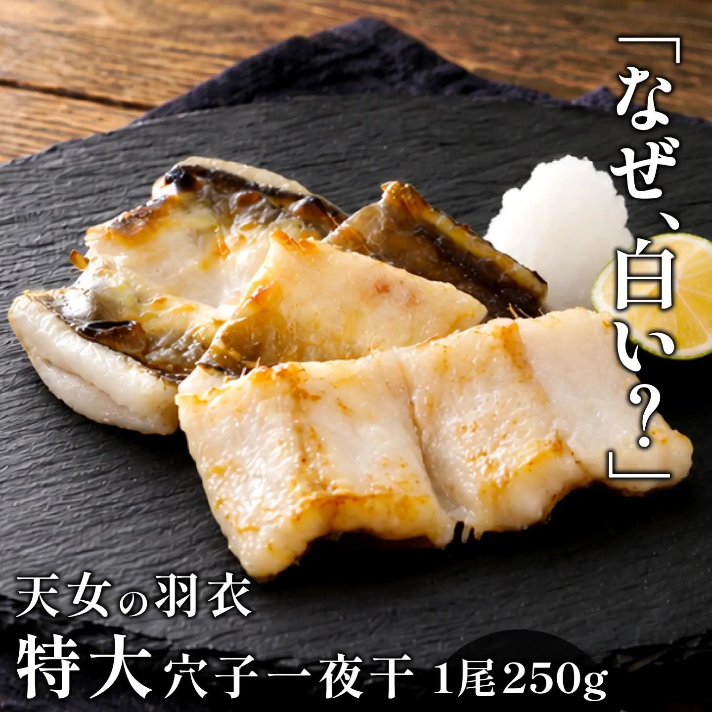 特大 あなご一夜干し 1尾 250g 「天女の羽衣」【穴子 一夜干し 250g 穴子干物 魚介類 魚 アナゴ 干物 特大 50cm 無添加 天日塩 新鮮 冷凍 真空パック 贈答 ギフト 父の日 母の日】