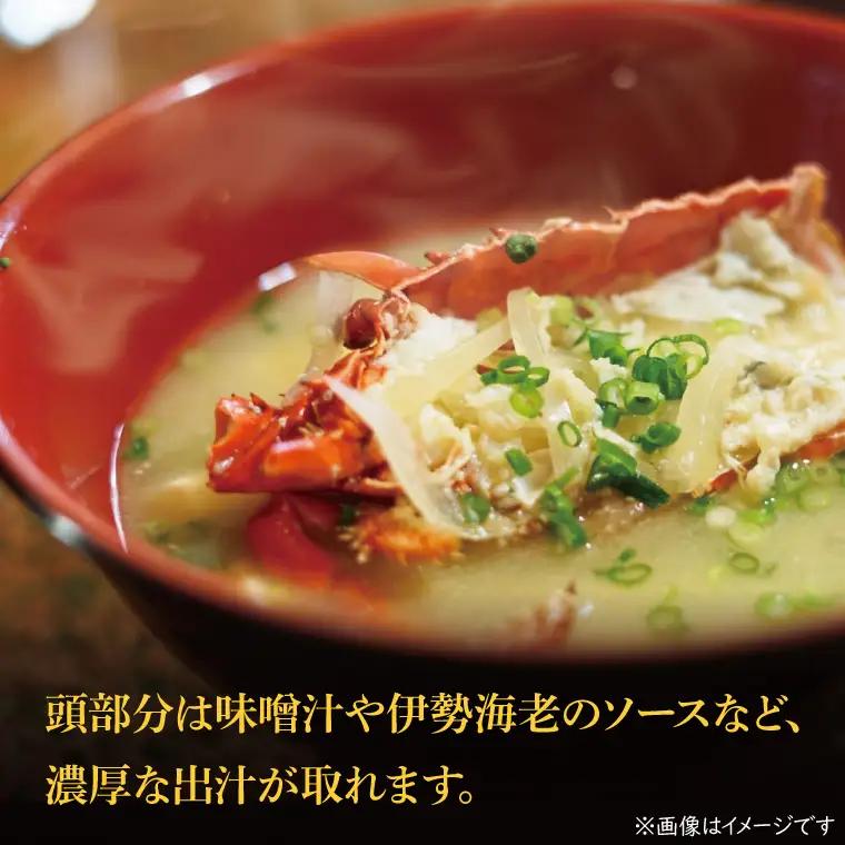 生冷凍 伊勢海老 2尾 1kg _AP031