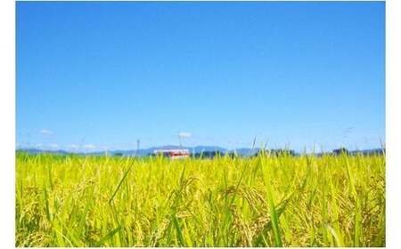 新米 米 つや姫 30kg 令和7年産 【2025年12月下旬発送】大石田町産 特別栽培米 玄米 備蓄 防災 支援 農家 キャンプ 長期保存 先行予約 ※沖縄・離島への配送不可 ja-tsgxa30-