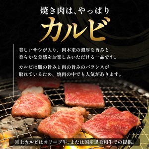 国産和牛 上 カルビ 400g【配送不可：離島】 