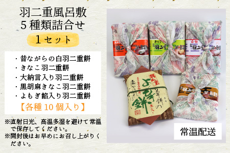 和菓子 餅 羽二重風呂敷 5種 詰合せ 永平寺町 和菓子 もち [A-011001]