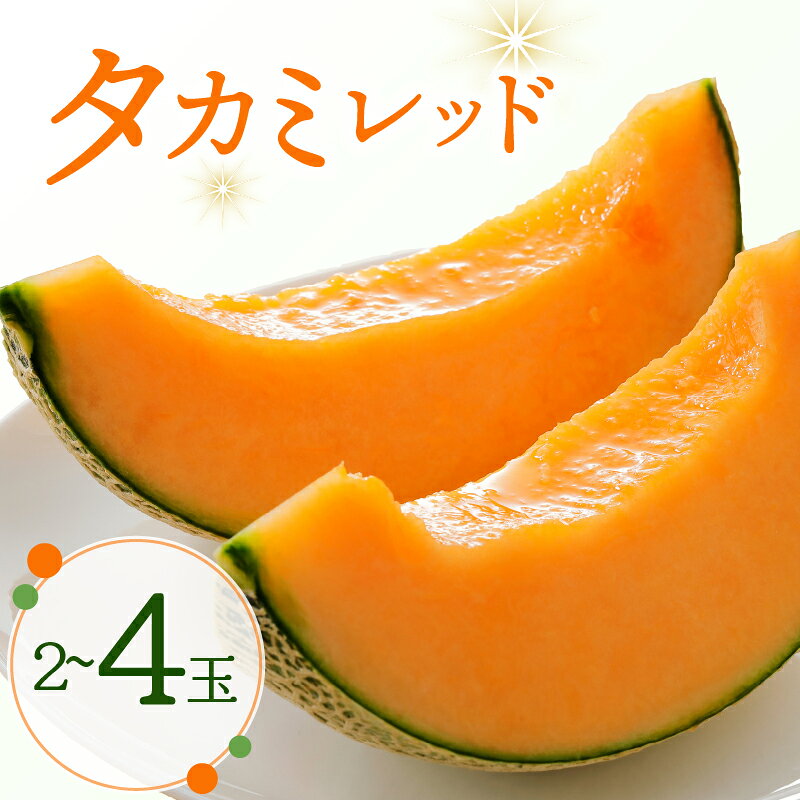 【ふるさと納税】 メロン タカミレッド 【選べる内容】 5L 2玉 ～ 3L 4玉 タカミ 【先行予約】 2027 期間限定 季節限定 melon meron くだもの 果物 フルーツ 旬 季節 贈答 ギフト 贈り物 赤肉 赤肉メロン 夏 甘い デザート 送料無料 ふるさと納税 千葉県 銚子市 Mファーム