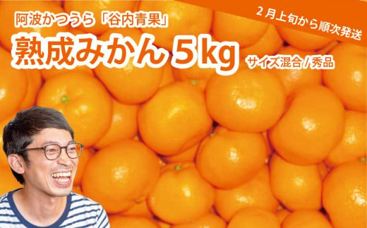 谷内青果 熟成みかん 秀品 サイズ混合 5kg