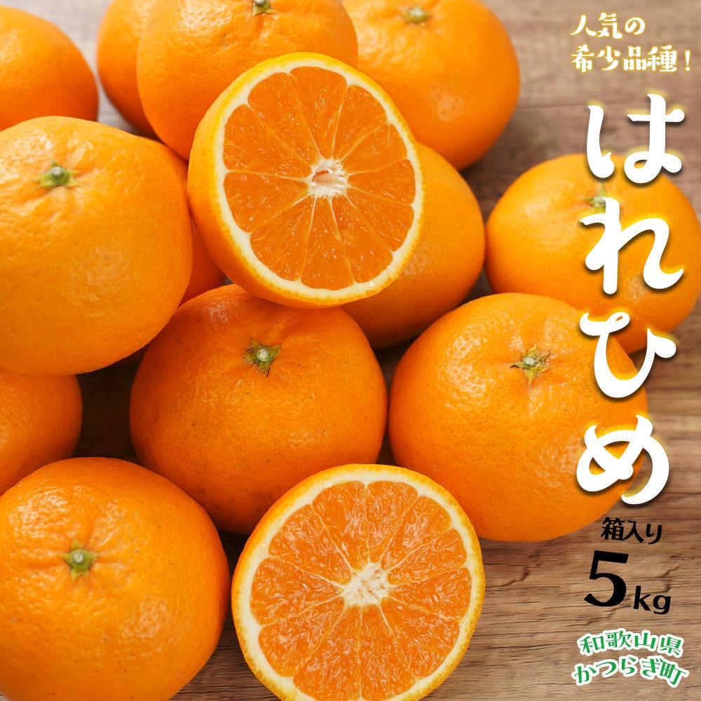 【ふるさと納税】はれひめ（ミカンの希少種） 秀品 約5kg（25個～30個入）［先行予約］［2025年12月中旬頃から発送］［KG3］ | 蜜柑 みかん ミカン フルーツ 果物 くだもの 食品 人気 おすすめ 送料無料