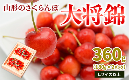 山形のさくらんぼ 大将錦 360gLサイズ以上 (180g×2パック) 【令和8年産先行予約】FS25-015