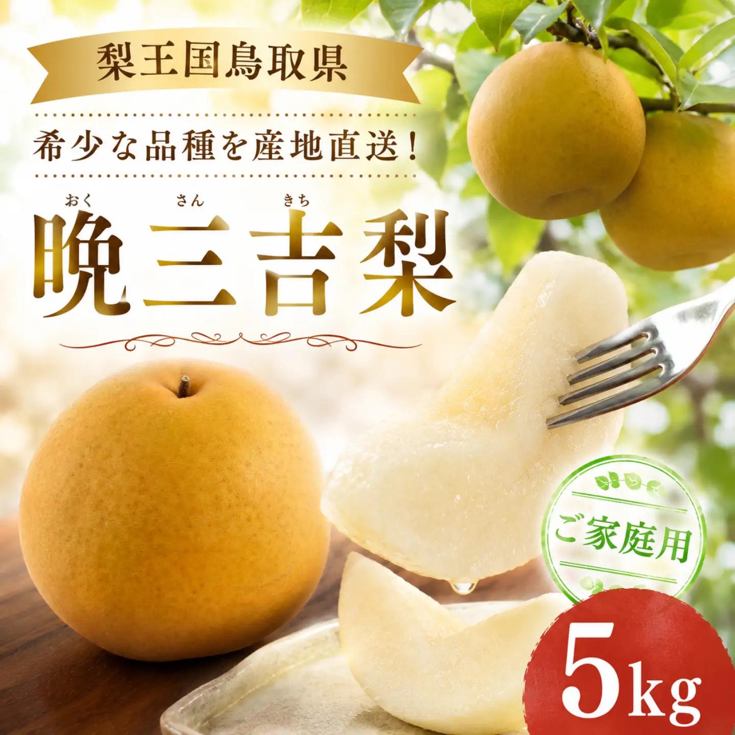 Y1078 晩三吉（家庭用）5kg【冬に食べられる希少な大玉梨】