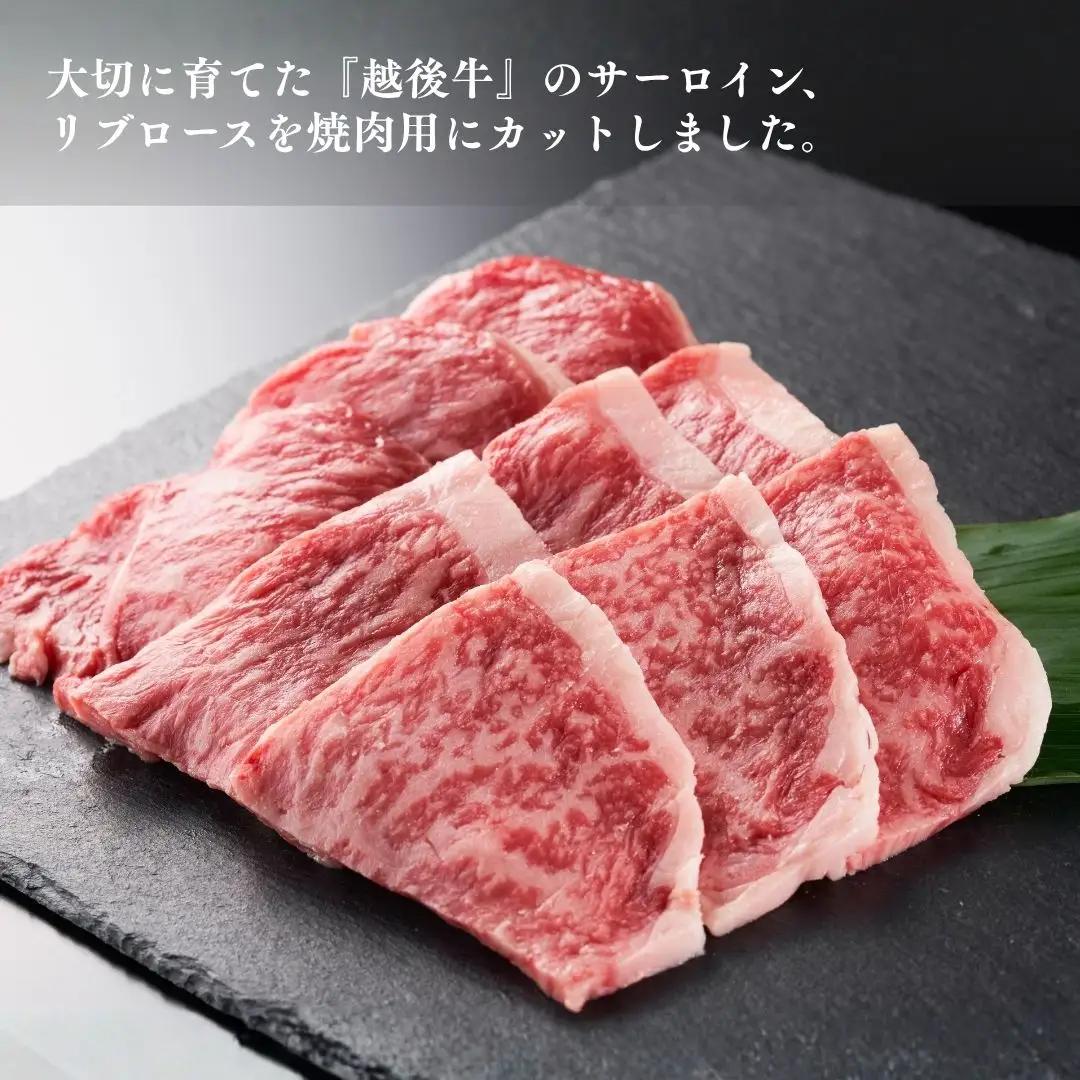越後牛 ロース焼肉 計400g(200グラム×2) 冷凍 三国 | 越後牛 小千谷 新潟県産 ロース 焼肉