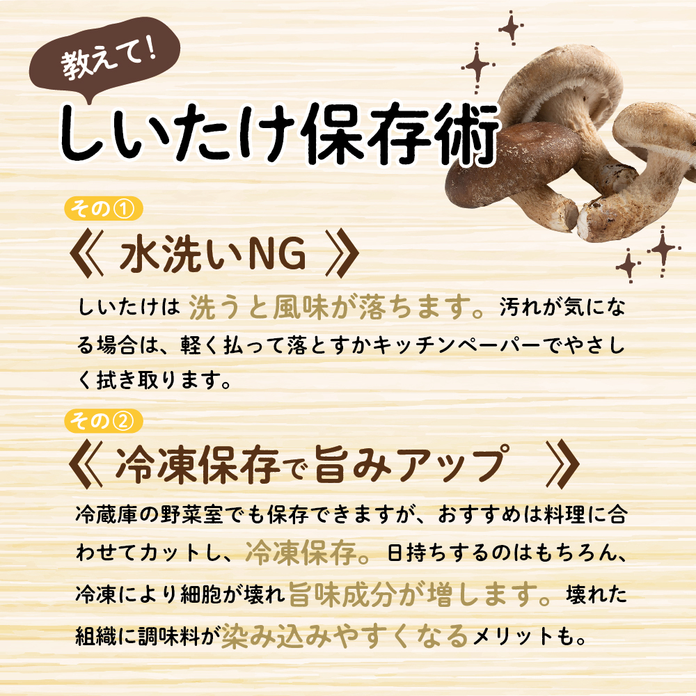 【11月より順次発送】国産 肉厚 しいたけ 1kg(500g×2袋)  青森 きのこ
