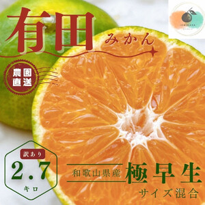 【ふるさと納税】【先行予約】有田みかん 極早生 2.7kg（箱込み3kg） 訳あり M～２Lサイズ 混合 【2025年10月下旬～11月頃発送】 柑橘 フルーツ みかん 産地直送 お取り寄せ 送料無料