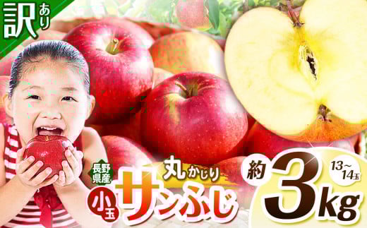 訳あり サンふじ 丸かじりSSサイズ 約3kg ｜ 浅野農園 リンゴ りんご 林檎 果物 くだもの フルーツ 果実 果汁 訳あり 小玉 丸かじり SSサイズ サンふじ 長野県 松川村 信州