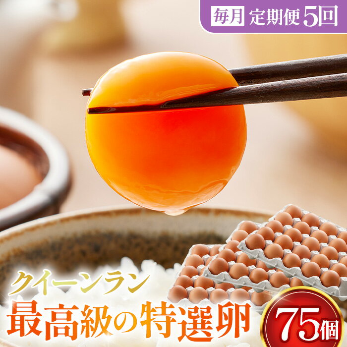 【ふるさと納税】【毎月定期便】黄身がつかめる新鮮地たまご クイーンラン 赤玉 75個入り全5回［No.594］ ／ 卵 毎月発送 定期便 新鮮卵 卵かけご飯 TKG 濃厚卵 黄身 弾力卵 生卵 卵料理 大容量 卵まとめ買い 新鮮食材 朝食食材 料理食材 家庭用卵 送料無料 埼玉県