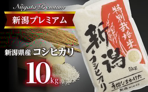 【令和7年産】新潟プレミアム 特別栽培米 コシヒカリ 白米10kg FC032021