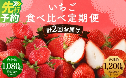 【全2回定期便】数量限定 フルーツ定期便 いちご 2品種 食べ比べ （ あまおう ・ かおり野 ） 合計約2.28kg 【2027年1月下旬から3月下旬まで順次発送予定】