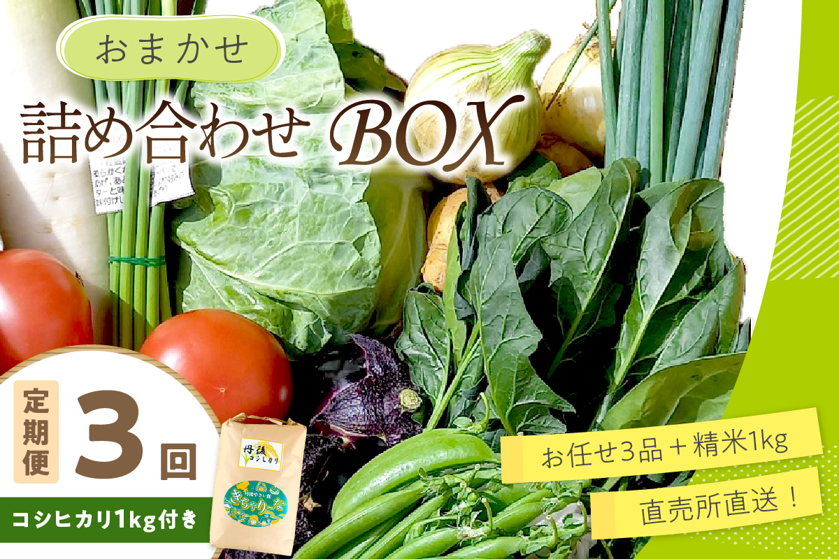直売所直送【訳あり】 「京都・京丹後産 季節の野菜」お任せ詰め合わせBOX（3品）＋コシヒカリ精米1kg 定期便3回　JA00076