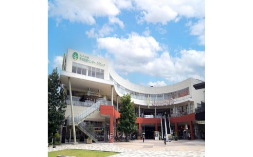 
            エグゼクティブ人間ドック女性　半日コース
          