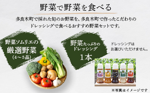 【6回定期便】野菜ソムリエ 監修 野菜で野菜を食べる  野菜セット  (1〜2名様向け)