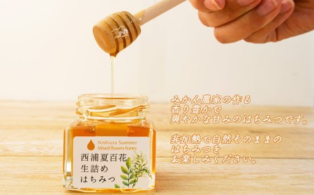 【価格改定予定】はちみつ 蜂蜜 2個 ギフト 贈答用 海と空と富士山のみかんの山より