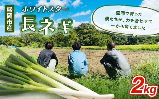 岩手県盛岡市産長ネギ 2kg ねぎ 新鮮 野菜 長ネギ 白ネギ 長ねぎ 白ねぎ 葱 国産 甘い 美味しい おいしい 鍋