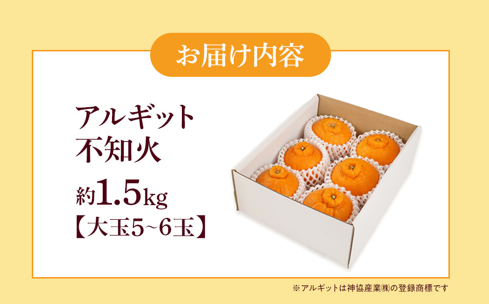 アルギット 不知火 約1.5kg 大玉 サイズ（5～6玉）| 先行予約 不知火 デコ みかん 甘い おいしい ジューシー 完熟 期間限定 数量限定 フルーツ 果物 柑橘 人気 おすすめ 高級 こだわり