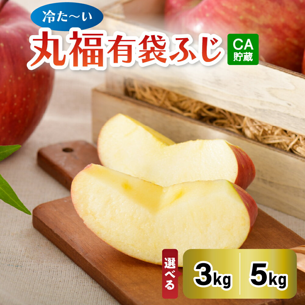 【ふるさと納税】 りんご 3kg 5kg 程度 CA貯蔵 クール便 【選べる配送時期】 丸福 規格 有袋ふじ 冷た～い青森県産CA丸福有袋フジ約3kg 約5kg（ 5月 6月 発送 ）【 青森 五所川原 有袋ふじりんご リンゴ 青森りんご 林檎 】