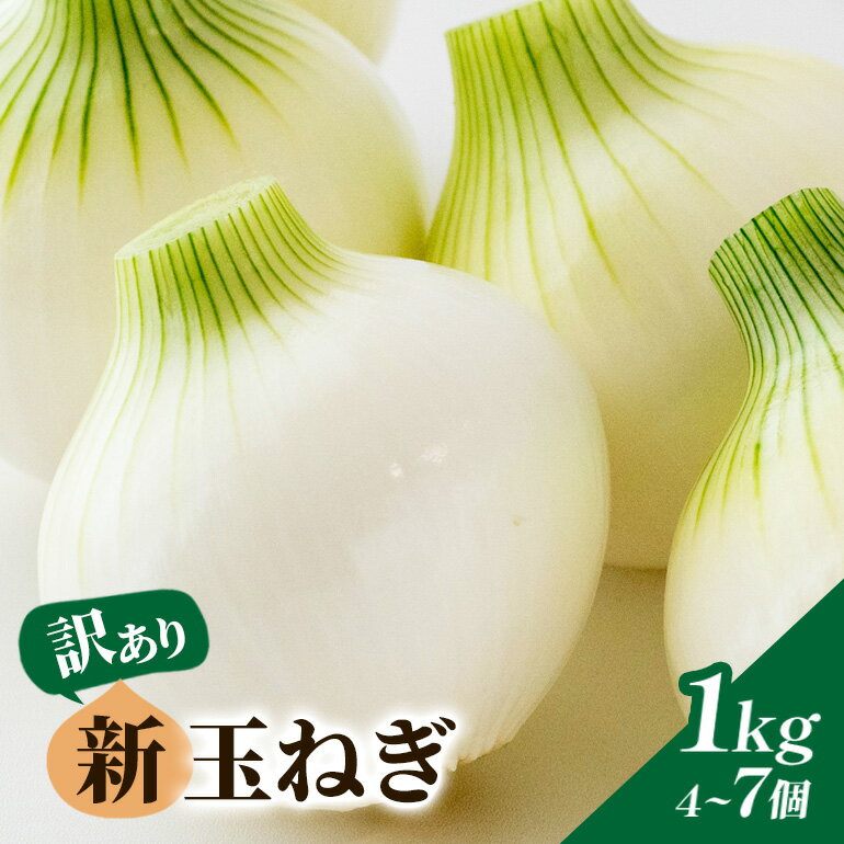 【ふるさと納税】 新玉ねぎ 1kg 4～7個 訳あり 玉ねぎ たまねぎ 野菜 茨城県 石岡市 B03-009