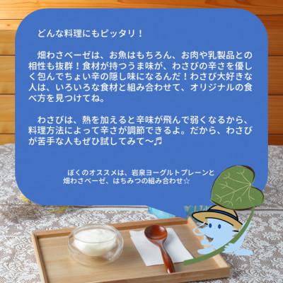 ふるさと納税 岩泉町 畑わさベーゼ100g入り 2個セット |  | 02