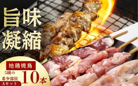 飛騨地鶏 焼き鳥10本セットA 5種(もも/皮/ふりそで/ぼんじり/せせり) 焼き鳥[DK059]