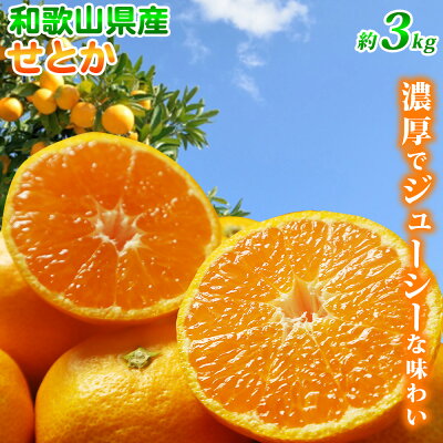 G7353_【2026年先行予約】とろける食感！ジューシー柑橘 せとか 3kg