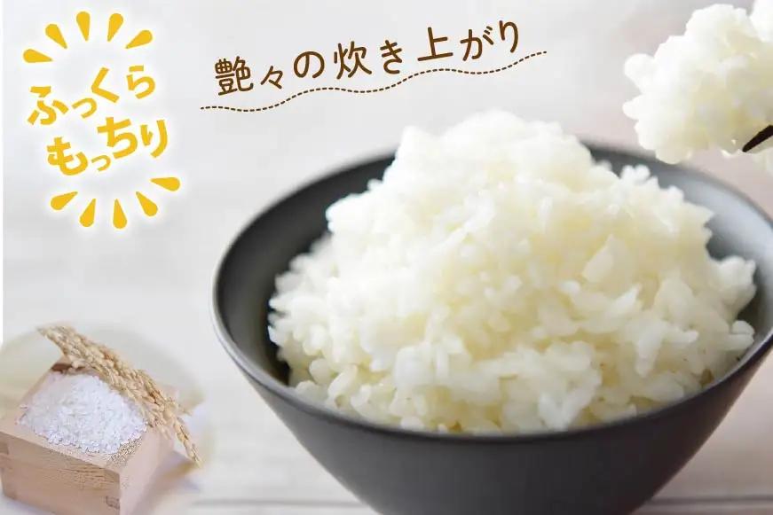 米 令和8年 12回 定期 ななつぼし 5kg